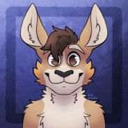 CooperKanga 🦘