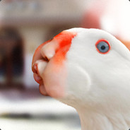 goosewoman
