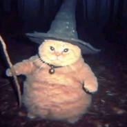 ZAZA WIZARD π