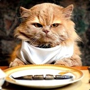 KevinCat