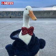 Ördek