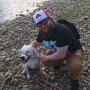 THEVAULTVIKING{pp}