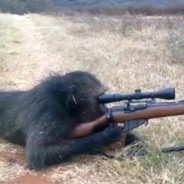 Sniper Monke