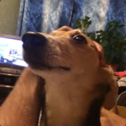 lala lalala