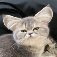 McНахер