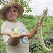 valdemar do del rey