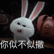 76561198167279033