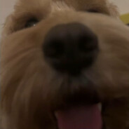 nnnnnn
