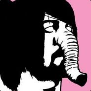 DFA 1979