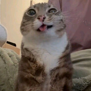 Bruh