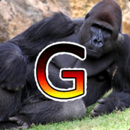 TheGorilla