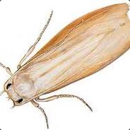 Mite