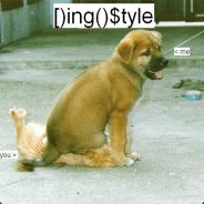 [)ing()$tyle