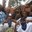 Group Avatar