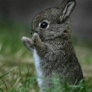 Nyuszipowered -  PUBGboxes.com