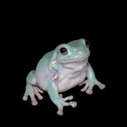 froggo mann