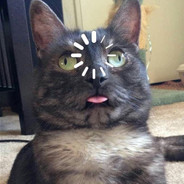 Котэ