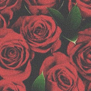 ♥♥♥♥♥♥♥♥♥♥