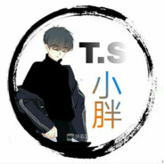 T.S.小胖