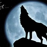 LionheartSR