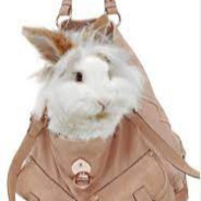 rabbitbag