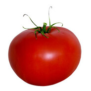big juicy tomato
