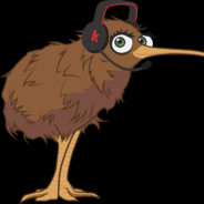 KiwiBird1o1