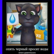 oleggavnoed