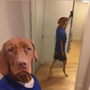 Toninxl