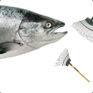 Halla Damer! pæppa betaler