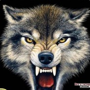 Furious Wolf