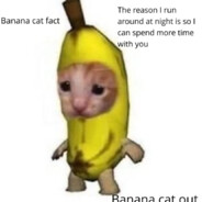 BananaCat