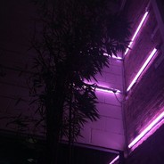 эй битмеке