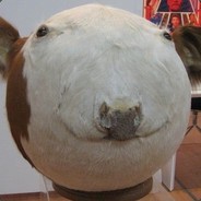 WeedleFish