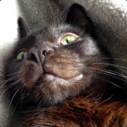 Donfoxsouls