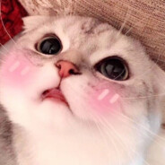 miay