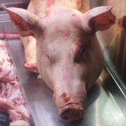 Schwein