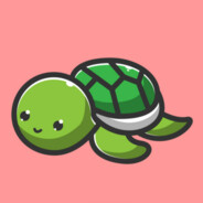 TurtleTash