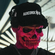 envsn #auxcordlord