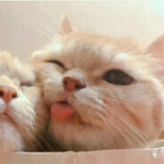 aangel_2_6  *******