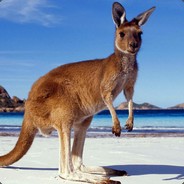 Kangaroo Salesman™