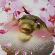 ♂The Fish-Chan♂