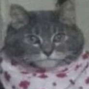 Uramek
