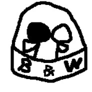 Black and Whitey productions