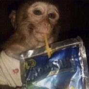 Ape