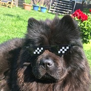 BOT Leistungsträger