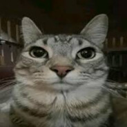 Tiechto