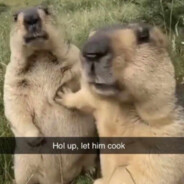 DejvisssIsGay