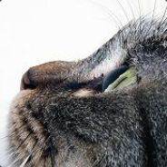 Steam profile picture for @vita