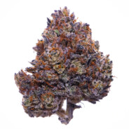 PURPLE HAZE